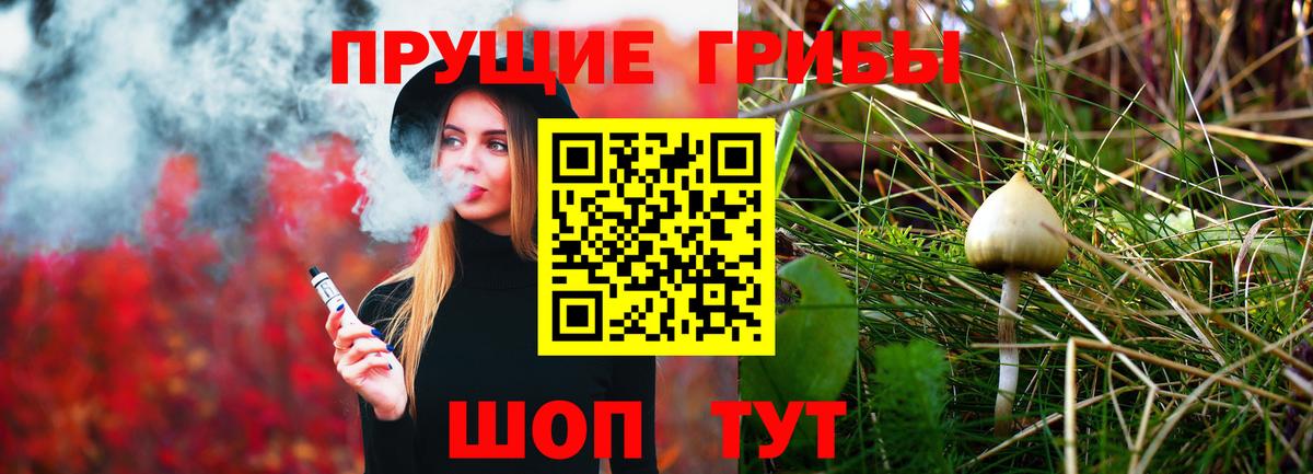 Псилоцибиновые грибы Psilocybe  Вход с VPN  Димитровград 